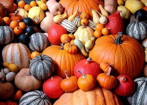 pumpkin
