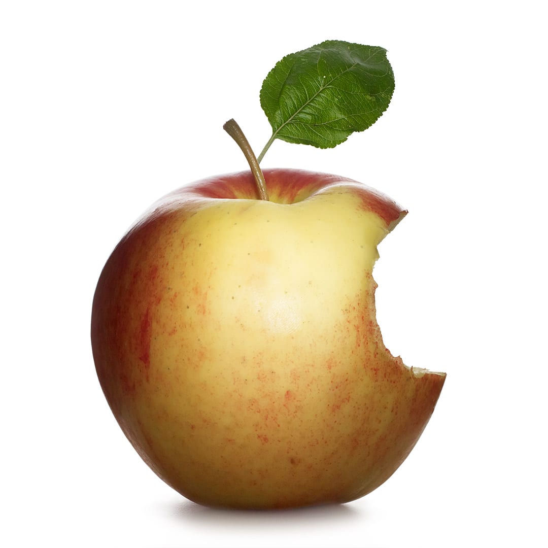 26th Annual Apple Festival at UBC Botanical Garden Vancouver