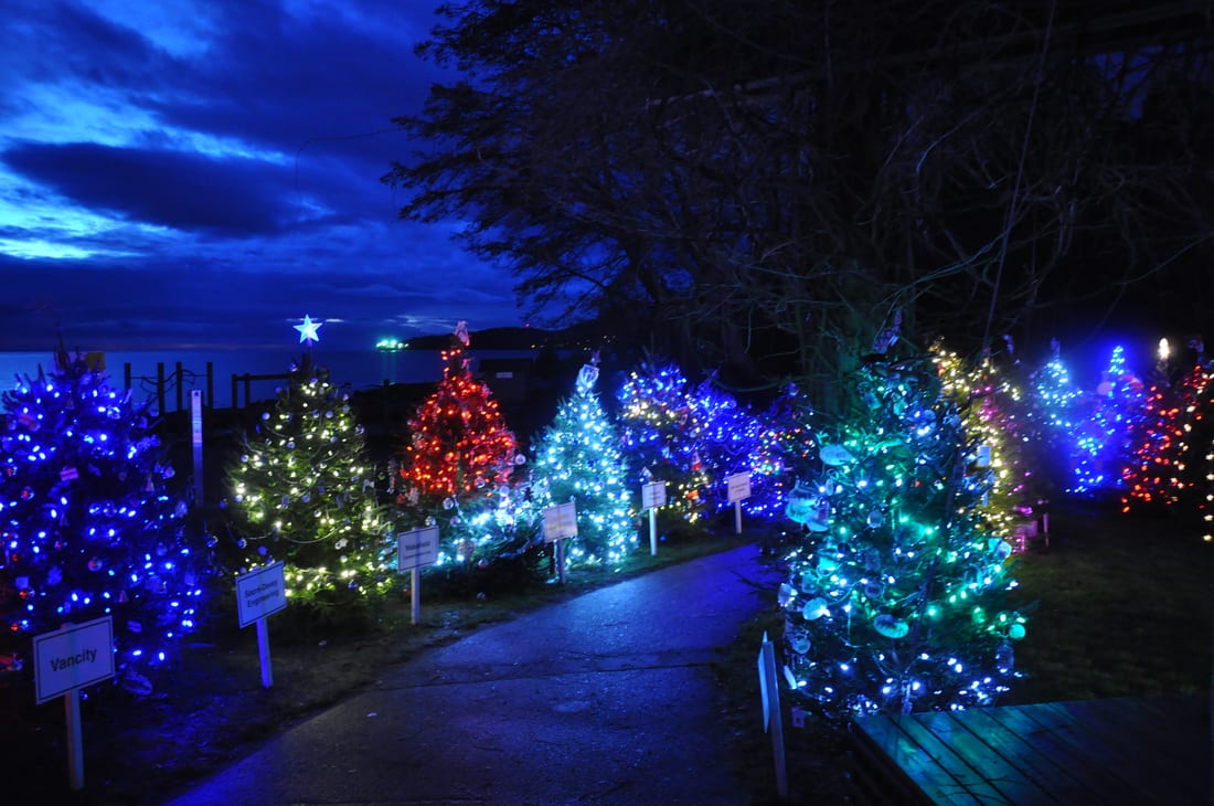 Dundarave Festival of Lights 2015 West Vancouver