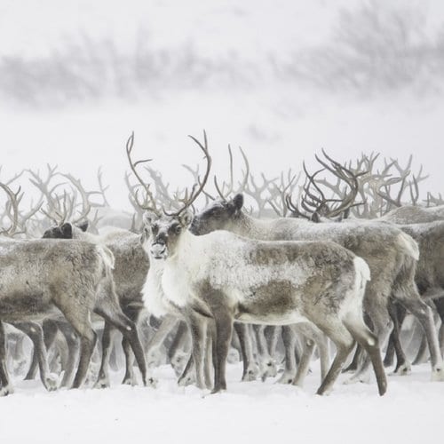 The North Shore Photographic Challenge