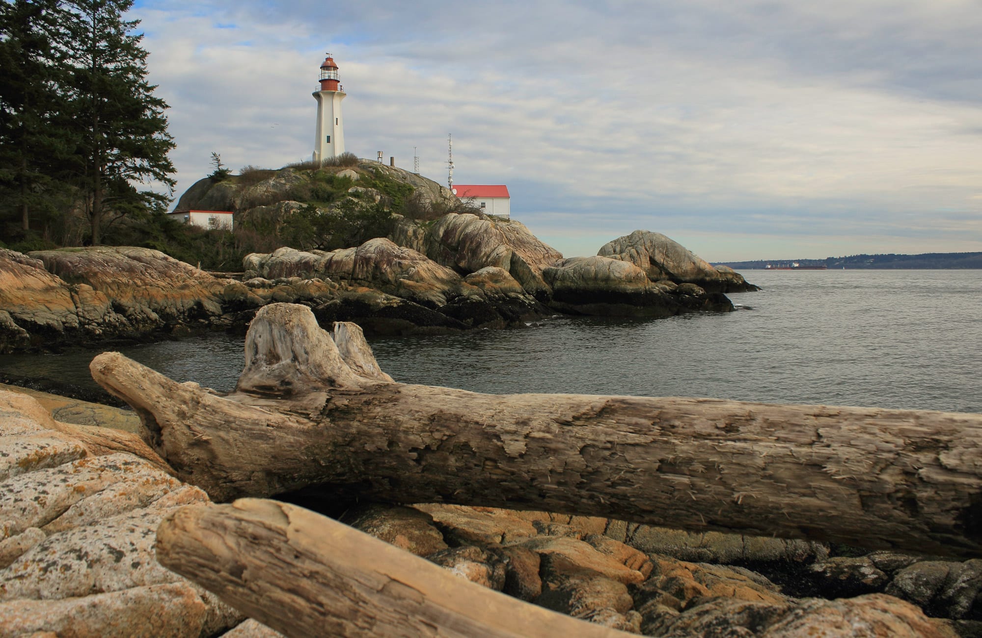 West Vancouver Westie Walk at the Lighthouse Park
