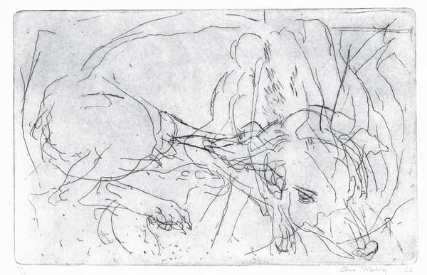 Ann Kipling Drawing the Line: North Shore Works 1962-1967 an Exhibition at the West Vancouver Museum