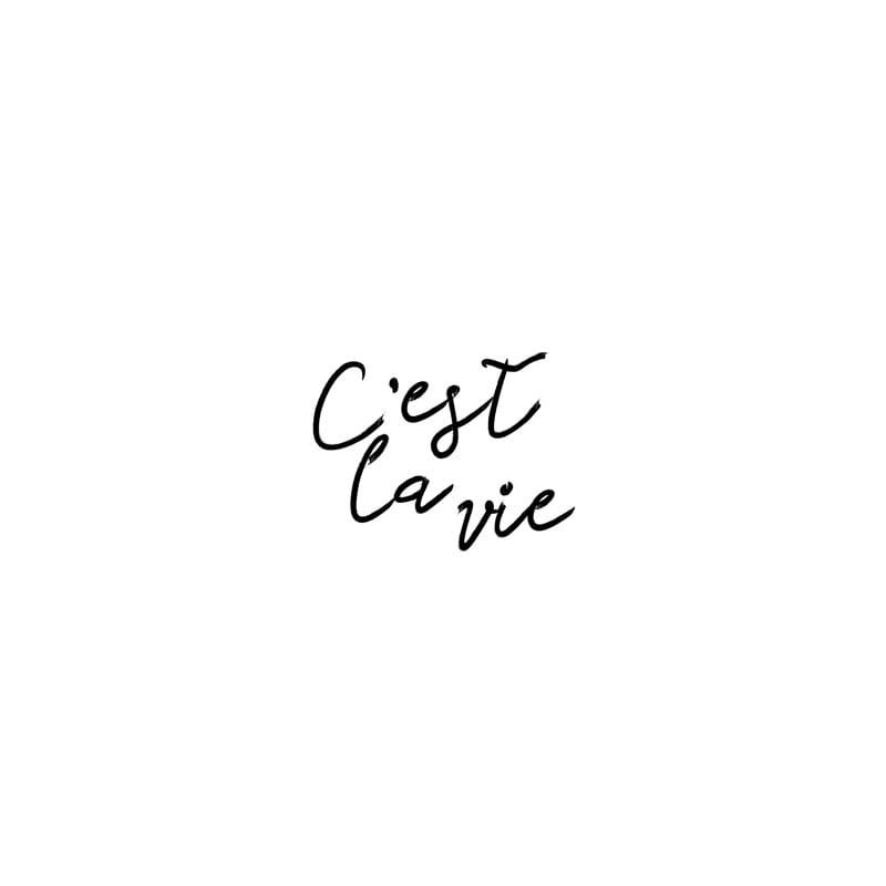 C’EST LA VIE! a Movie at the Kay Meek Centre West Vancouver