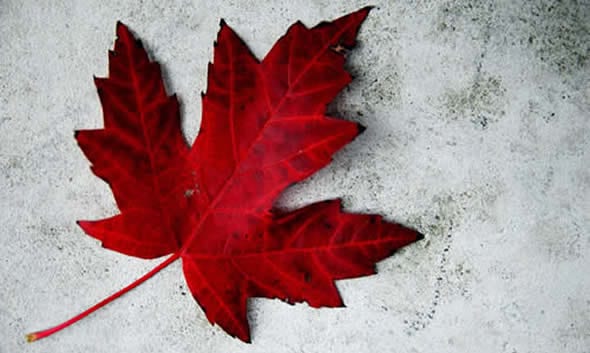 Canada Day Celebration at John Lawson Park West Vancouver