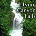 Lynn Canyon Suspension Bridge and Park
