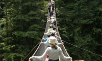 Lynn Canyon Suspension Bridge and Park
