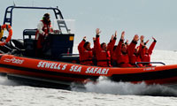 Sewell’s Marina