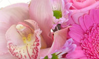 West Van Florist Home and Garden