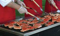 Coho Festival