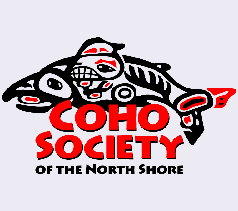 The Coho Festival at Ambleside Park West Vancouver