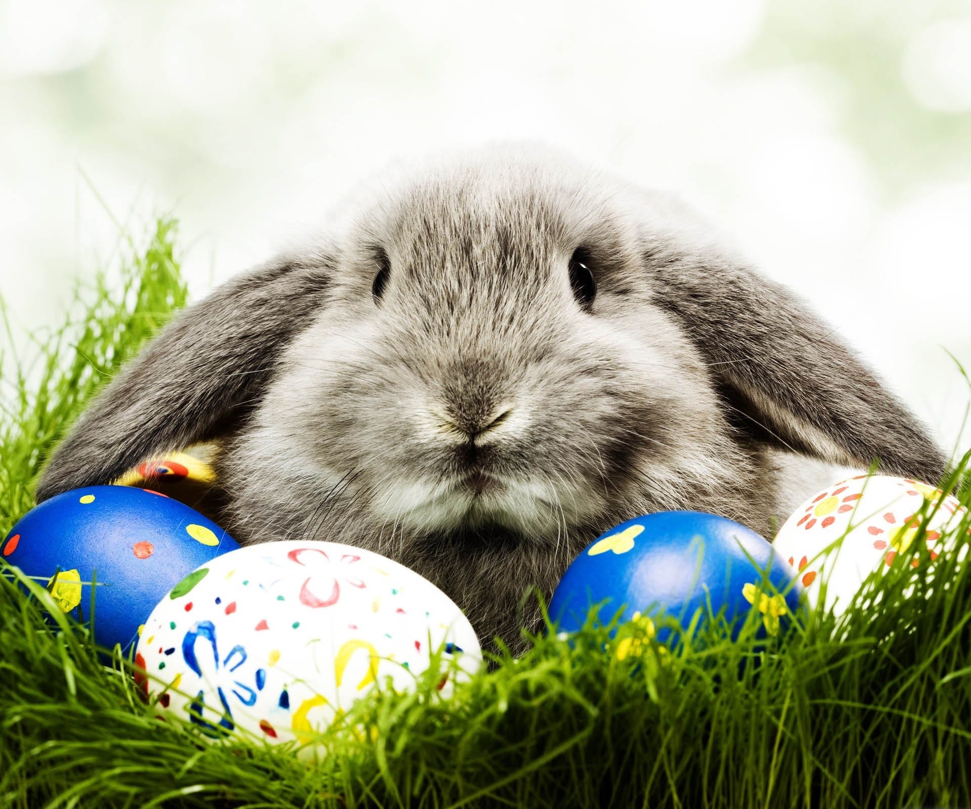 TiddlyCove Lions Club Easter Egg Hunt West Vancouver