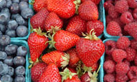 Ambleside Farmer’s Market