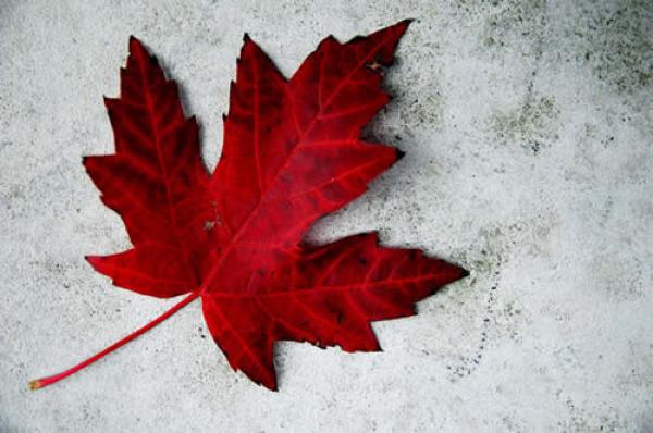 West Vancouver Canada Day Celebrations 2014