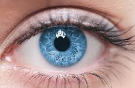 Keeping an Eye on Cataracts