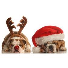 Pet Photos with Santa