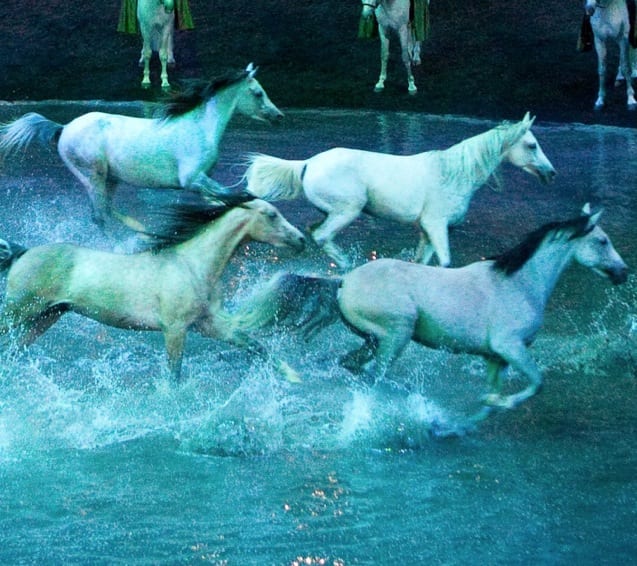 Cavalia’s Odysseo Coming to Vancouver