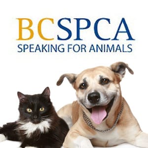 West Vancouver SPCA Branch
