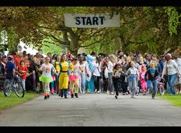 Strides for Strokes Walkathon